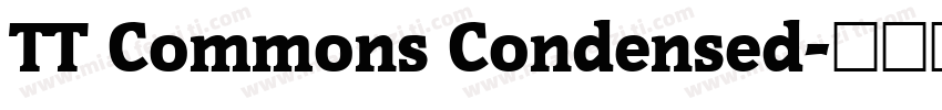 TT Commons Condensed字体转换